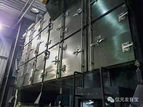 上海信元寵食工廠實力揭幕 網(wǎng)絡工程背后的秘密
